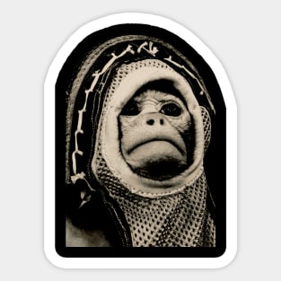 Space Monkey Sticker